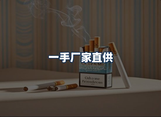 专业团队办公环境